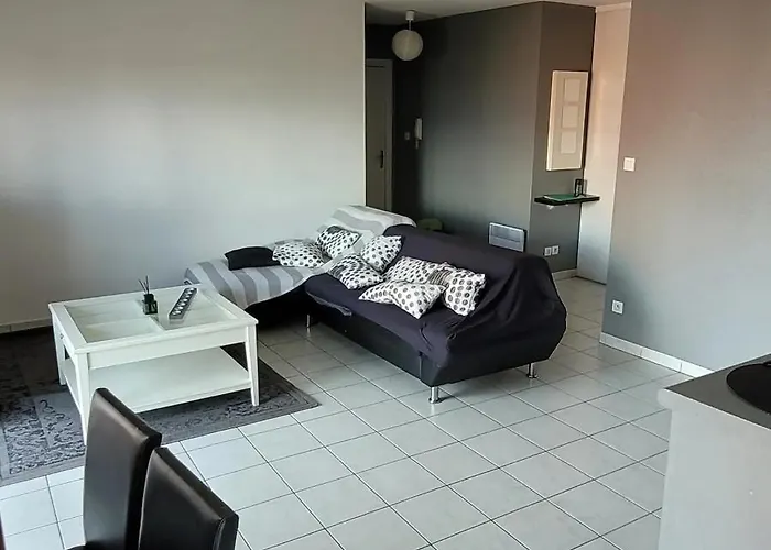 Spacieux Calme アパート Fonsorbes